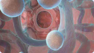 Medical Animation | Pfizer Exubera