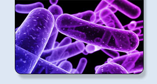 Medical Animation | Corporate Demos